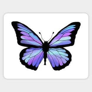 Cool Color Butterfly Sticker